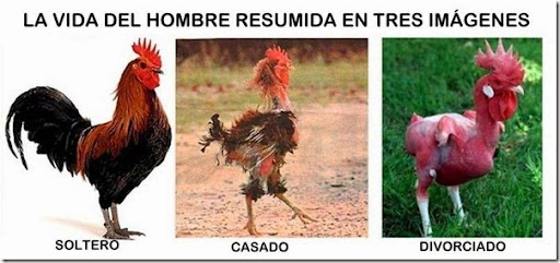 hombre soltero casado y divorciado